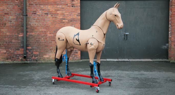 Rescue Training Horse